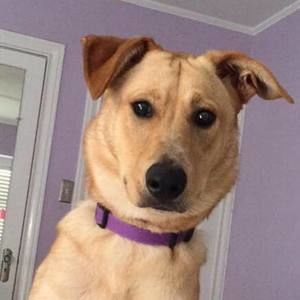 Meet your Posher, Misty